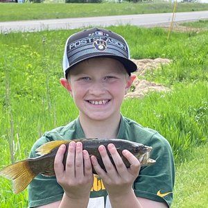 Meet your Posher, Tanner